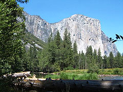 Северная Америка