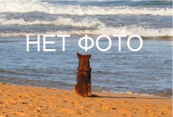 Классификация отелей Туниса