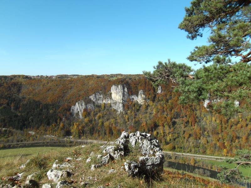 Зигмаринген